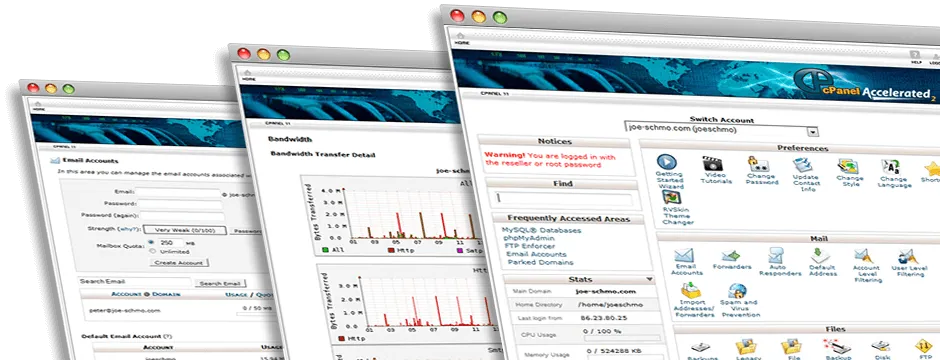 Swansea web hosting